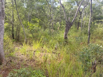 Farm & Agricultural Land