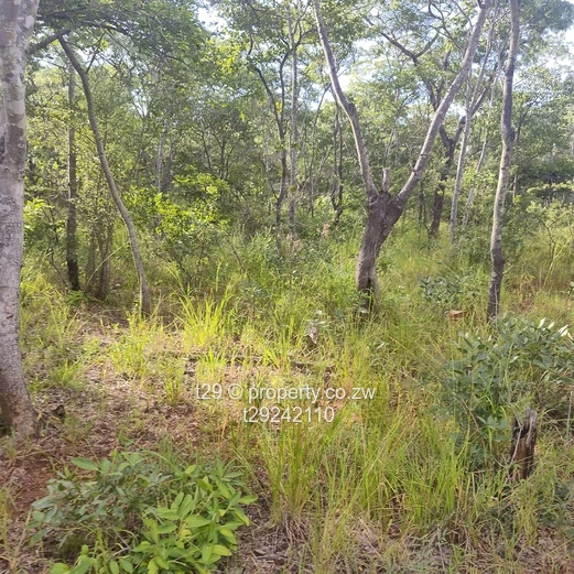 Norton chegutu selous plots for sale