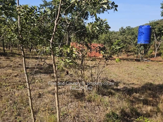 Peaceful Country Retreat in Christon Bank | Mashonaland Central