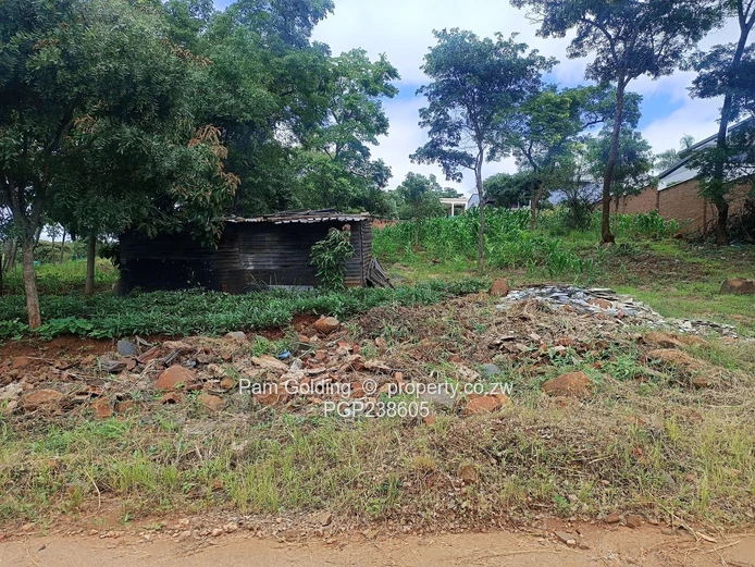 Corner Residential Stand For Sale!