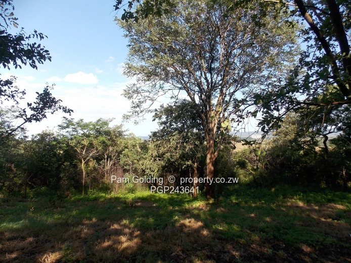 Peaceful Country Living Close to Chinoyi (Sole Mandate)