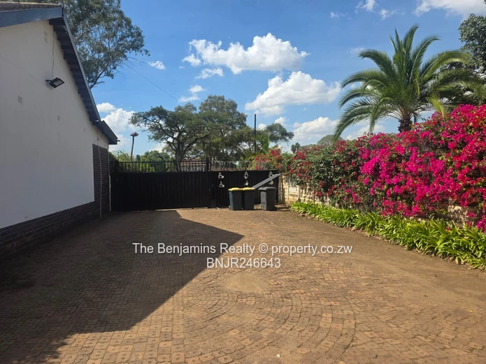 Garden Flat In Avondale