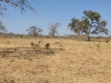 Farm & Agricultural Land