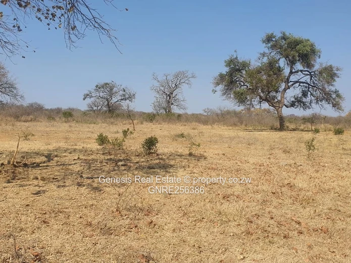 Prime Land For Sale Along Airport Road In Bulawayo!