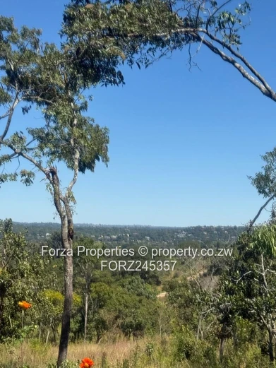 41 Hectares of Prime Land in Borrowdale Brooke Area with Endless Development Potential