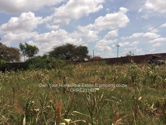 Mount Hampden Plot For Sale Or Jv
