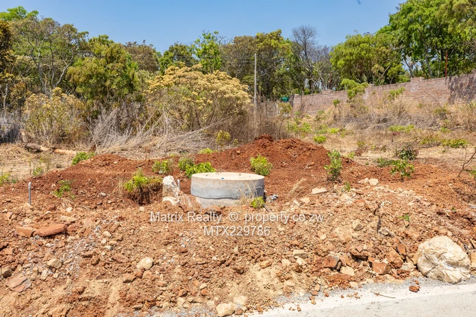 Cluster Stands in Hogerty Hill for Sale