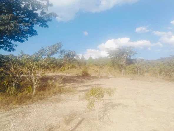 Farm & Agricultural Land