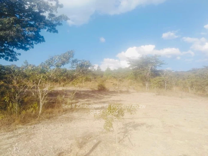 Experience The Nyanga Lifestyle, In Nature's Luxury