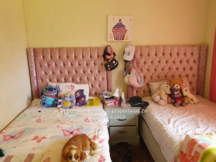 Spacious Greystone Park 4-Bed with Borehole