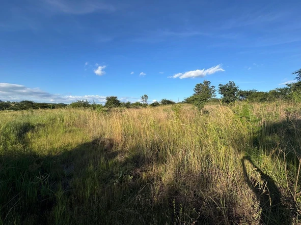 Commercial & Industrial Land