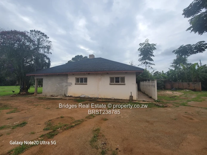 A Halley 's Comet equivalent! 