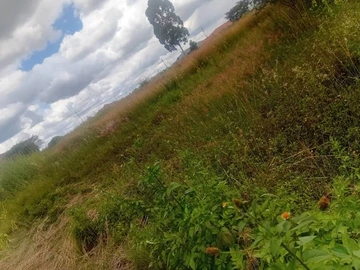 Commercial & Industrial Land