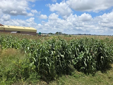 Commercial & Industrial Land
