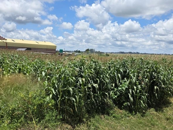 Commercial & Industrial Land