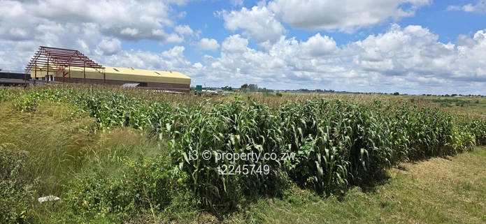 Damofalls 2,100m² Commercial Site — Tarred Main Road (Sole Mandate)