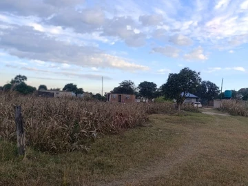 Land