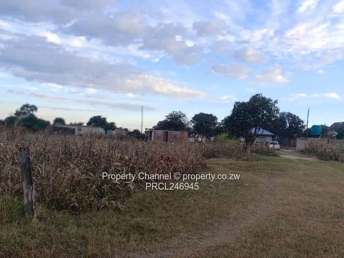 2000 m² Fenced Plot with Road Access in Whitecliff