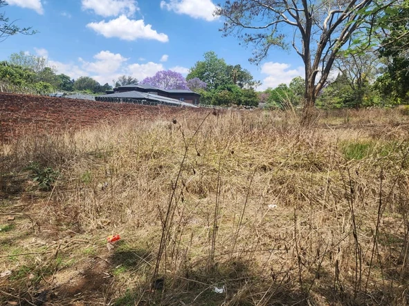 Stands & Residential Land