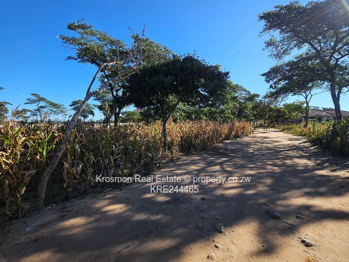 Title deed...Secure 2,330 m² Residential Stand in Roodsflvie Marondera