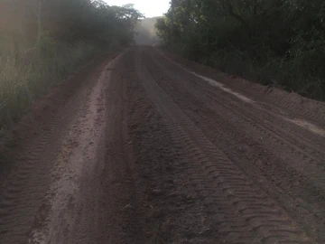 Farm & Agricultural Land