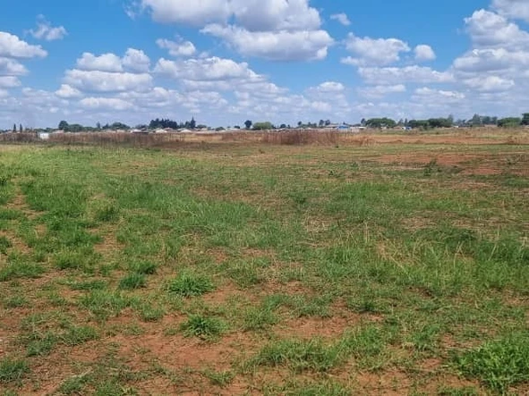 Stands & Residential Land