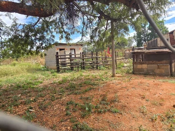 Farm & Agricultural Land