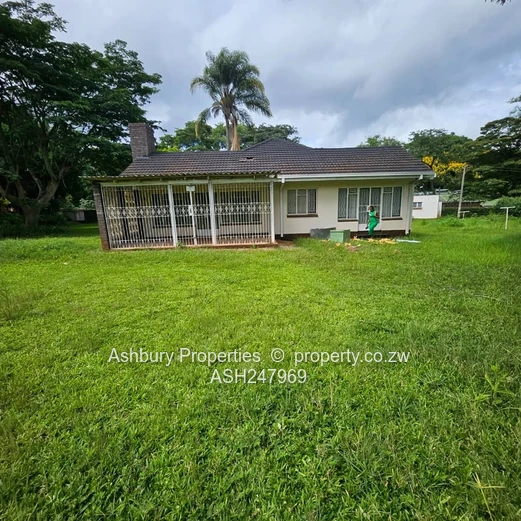 Compact Cosy Rental House Readily Available (Sole Mandate)