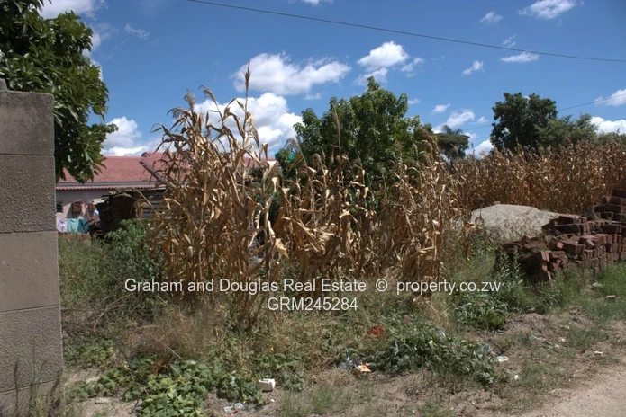 Zimre Park stand for sale