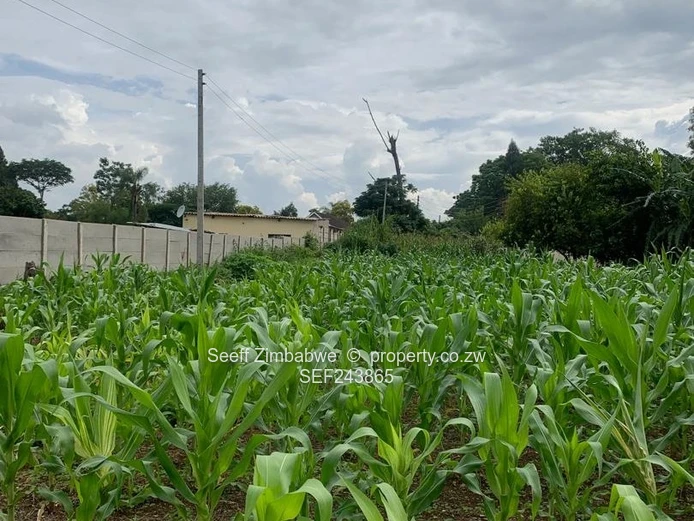 Spacious 4-Bed Marlborough Home on 9,070 m² with a Cottage