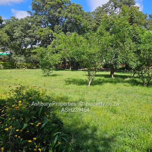 On the Enterprise Road Commercial Corridor Bordering Chisipiti and The Grange