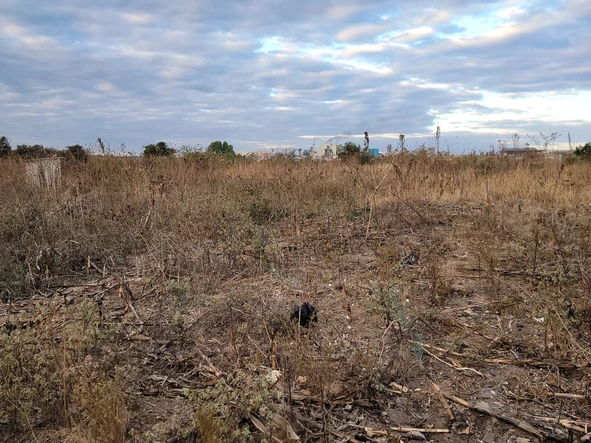 Commercial & Industrial Land