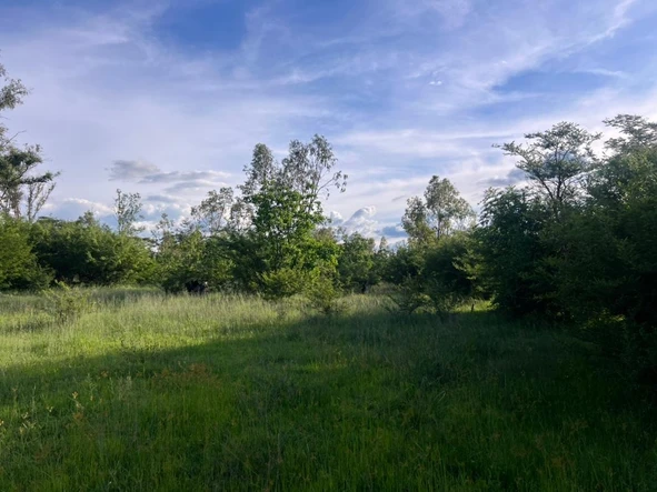 Farm & Agricultural Land