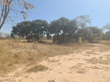 Farm & Agricultural Land