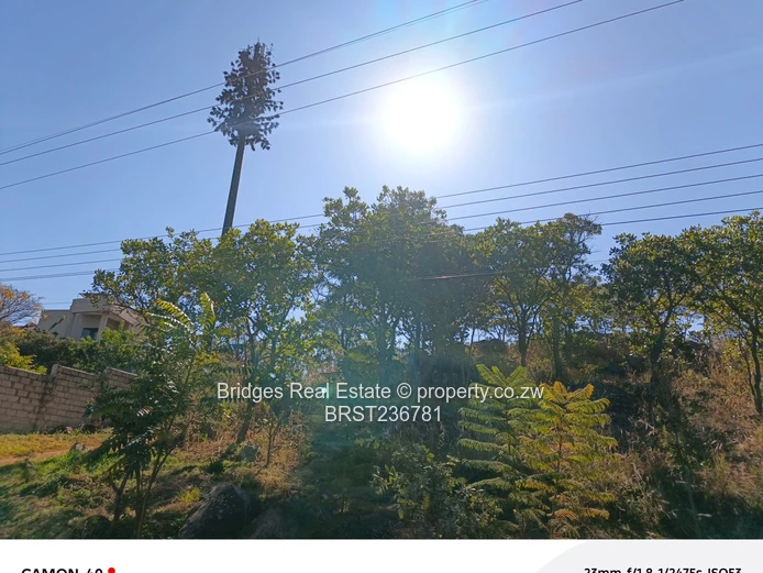 Awesoment investment