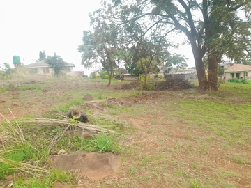 Stands & Residential Land