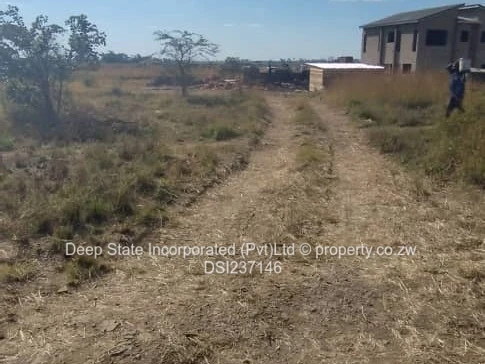 Westgate shine plus stand for sales