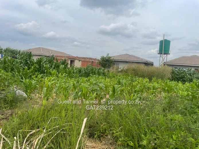 Residential Stand for Sale – Timire Ruwa (300sqm)