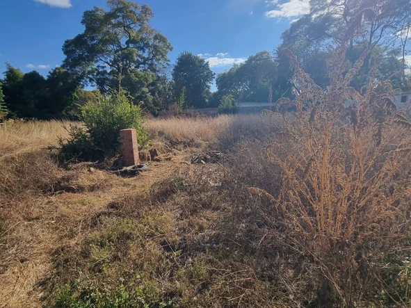 Stands & Residential Land