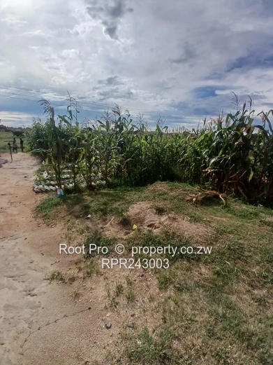 200 m² Stand in Damofalls  (Sole Mandate)