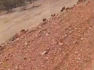 Farm & Agricultural Land