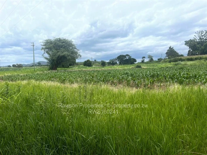 Stands & Residential Land for Sale in Bindura RWS160241