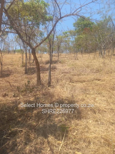 Shawasha Hills Land For Sale