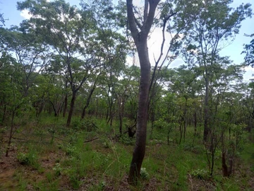 Farm & Agricultural Land