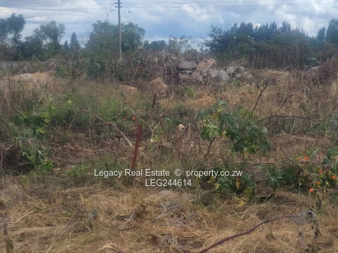 Waterfalls Prospect Cluster Stands For Sale