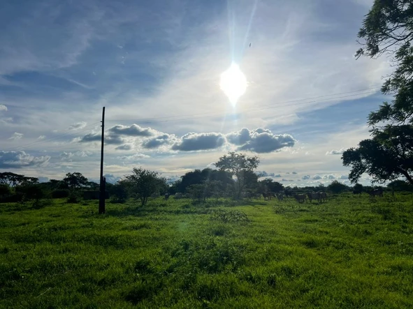 Farm & Agricultural Land