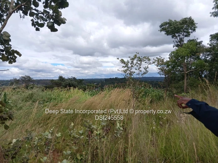 Chishawa Hills stand for sale 