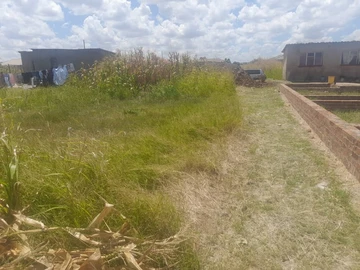 Stands & Residential Land