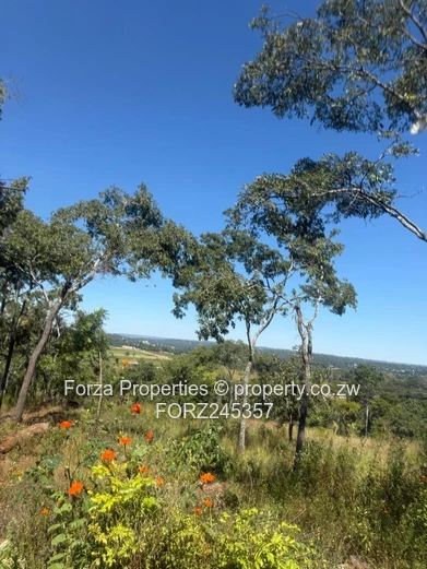 41 Hectares of Prime Land in Borrowdale Brooke Area with Endless Development Potential