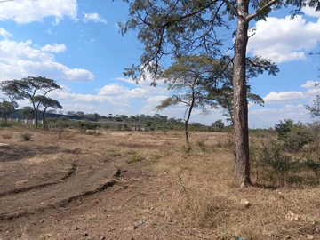 Commercial & Industrial Land